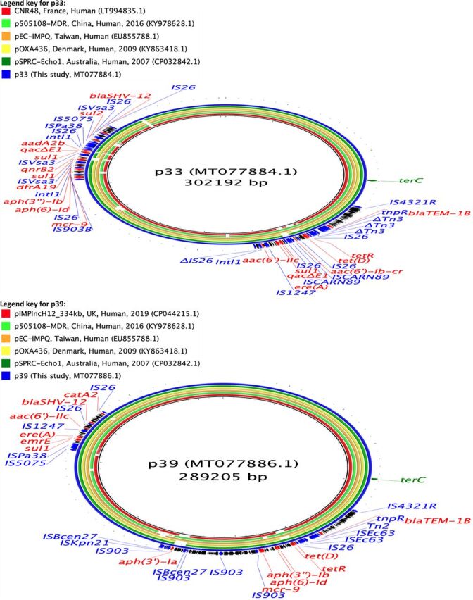 FIG 5