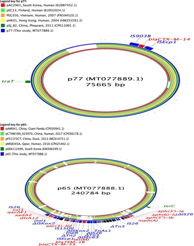 FIG 2