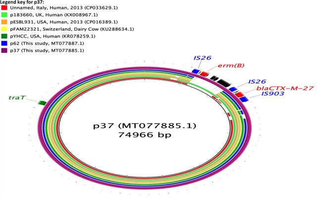 FIG 3