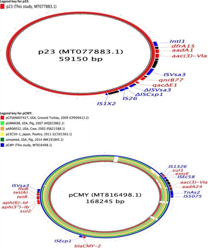 FIG 6