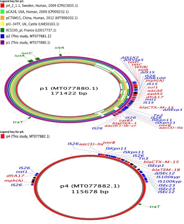 FIG 4