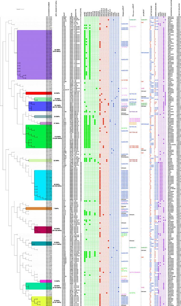 FIG 1