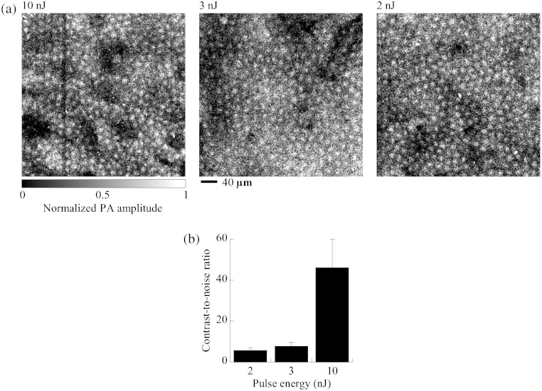 Fig. 5