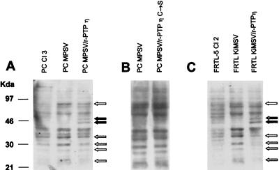 FIG. 7