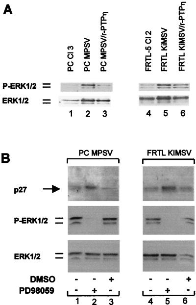 FIG. 9