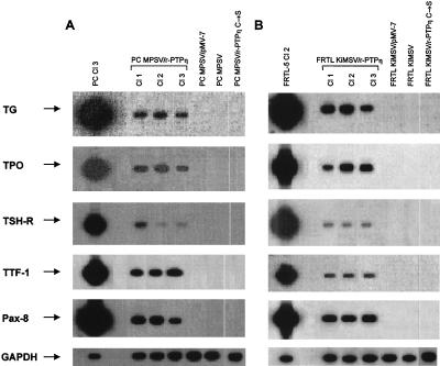 FIG. 5