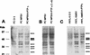 FIG. 7