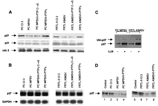 FIG. 8