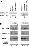FIG. 9