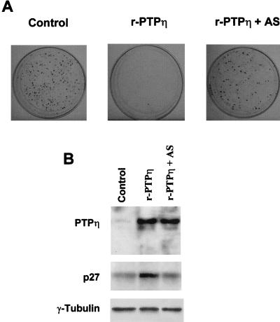 FIG. 10