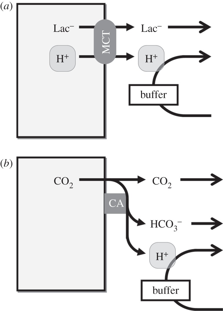 Figure 2.