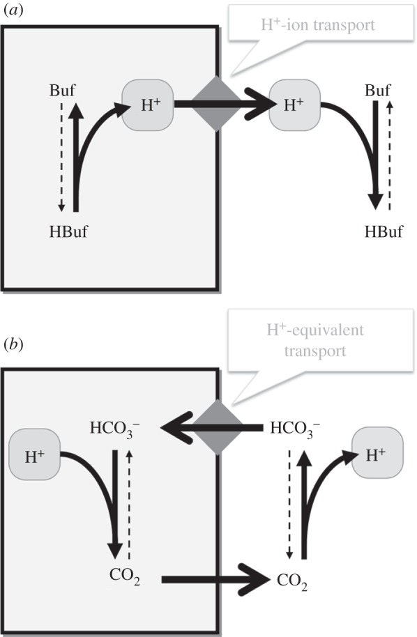 Figure 3.