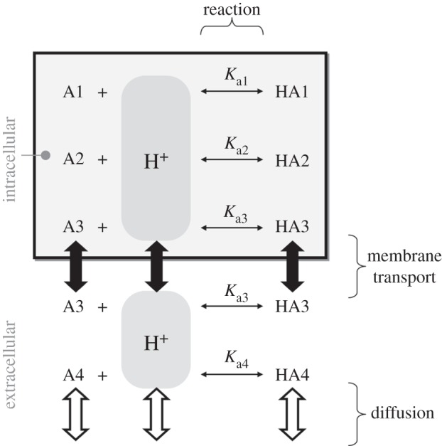 Figure 1.