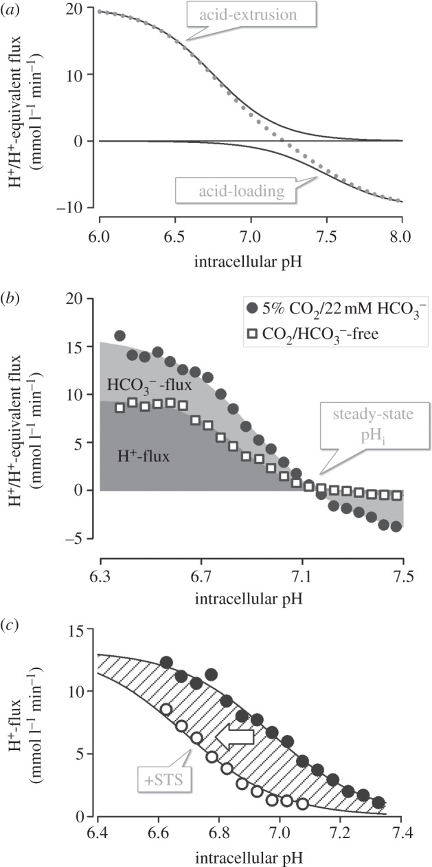 Figure 4.