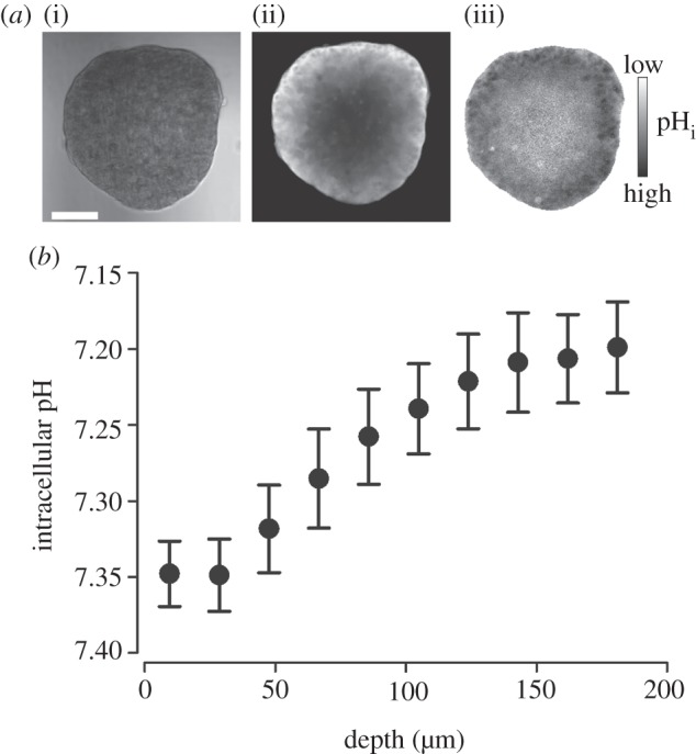 Figure 5.