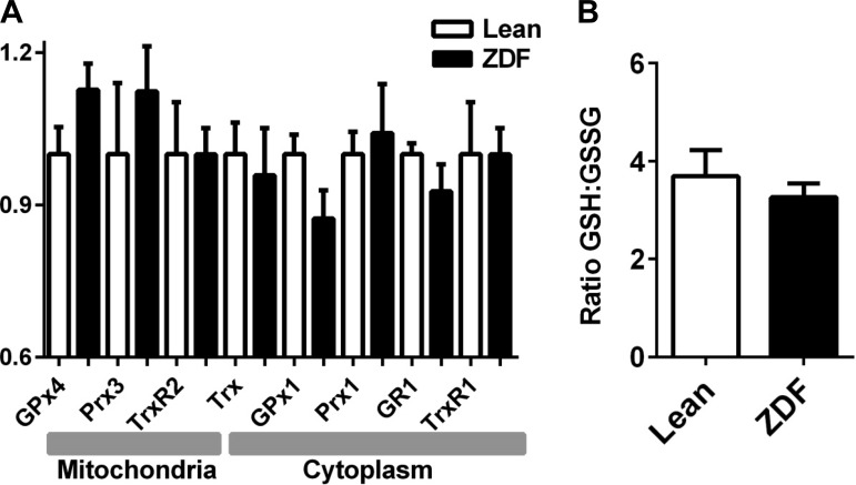 Fig. 8.