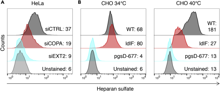 Figure 5