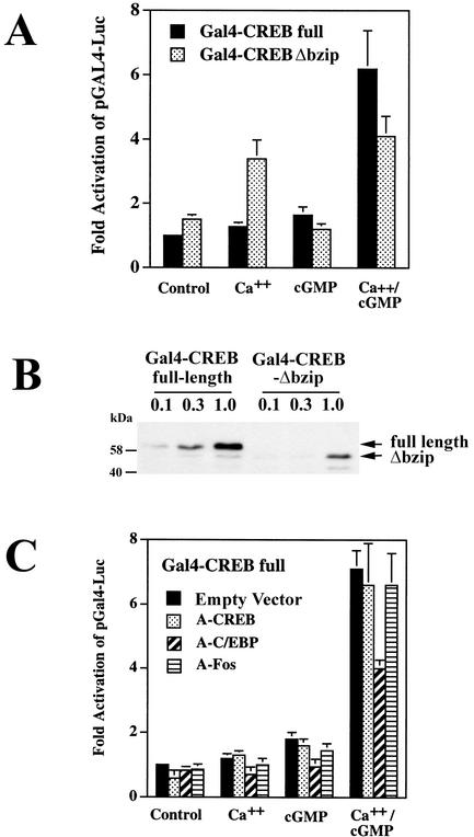 FIG. 9.