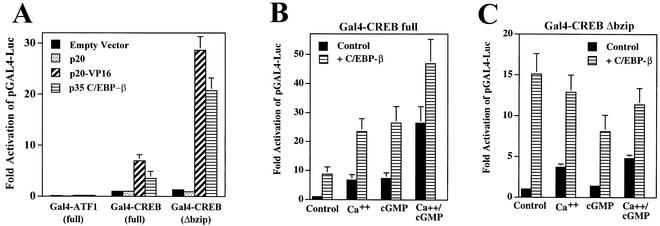 FIG. 10.