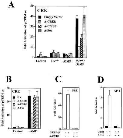 FIG. 4.