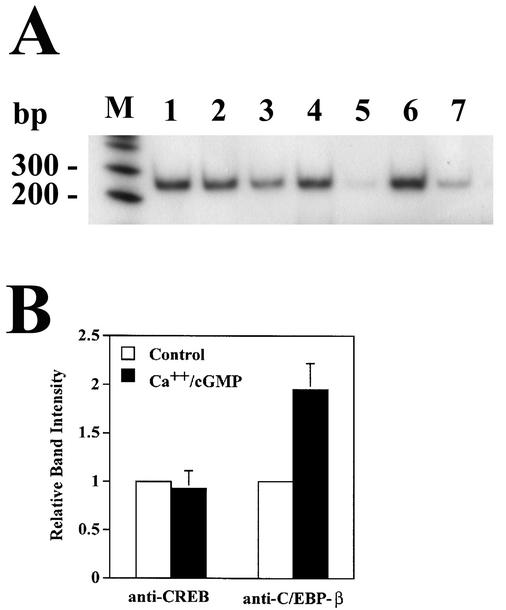 FIG. 12.