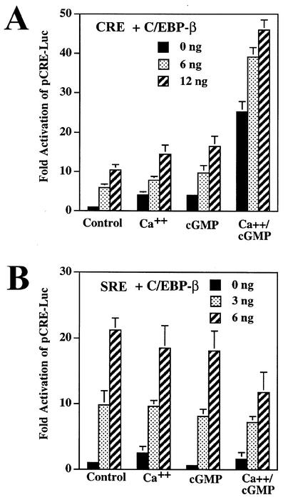 FIG. 5.