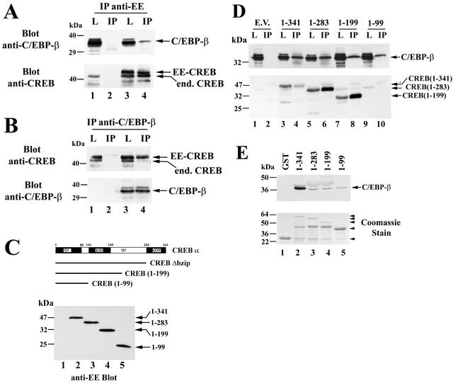 FIG. 11.