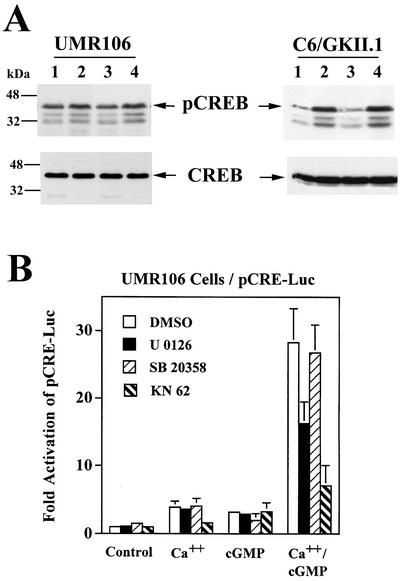 FIG. 8.