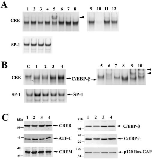 FIG. 6.