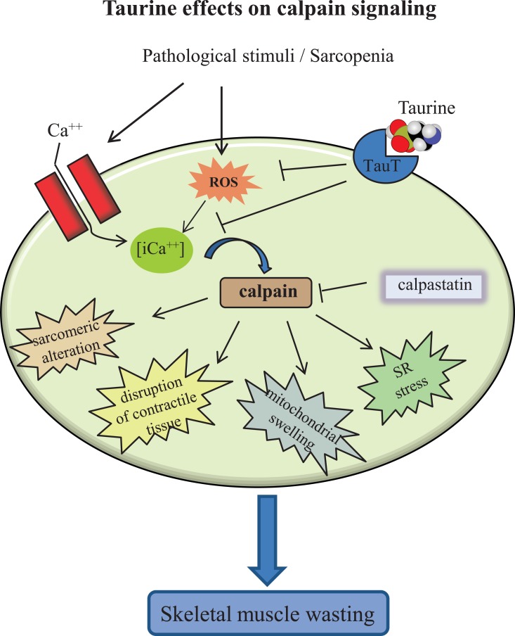 Fig. (3)