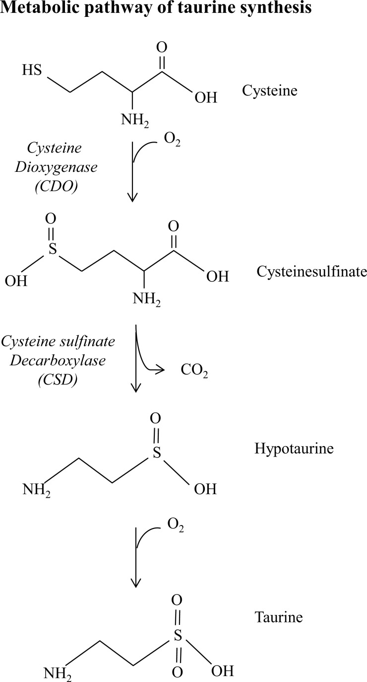 Fig. (2)