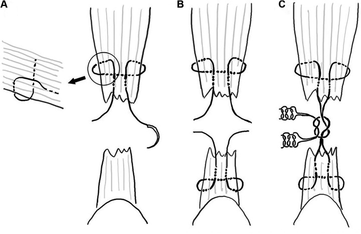 Figure 2.