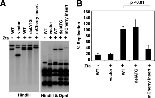 FIG. 5.