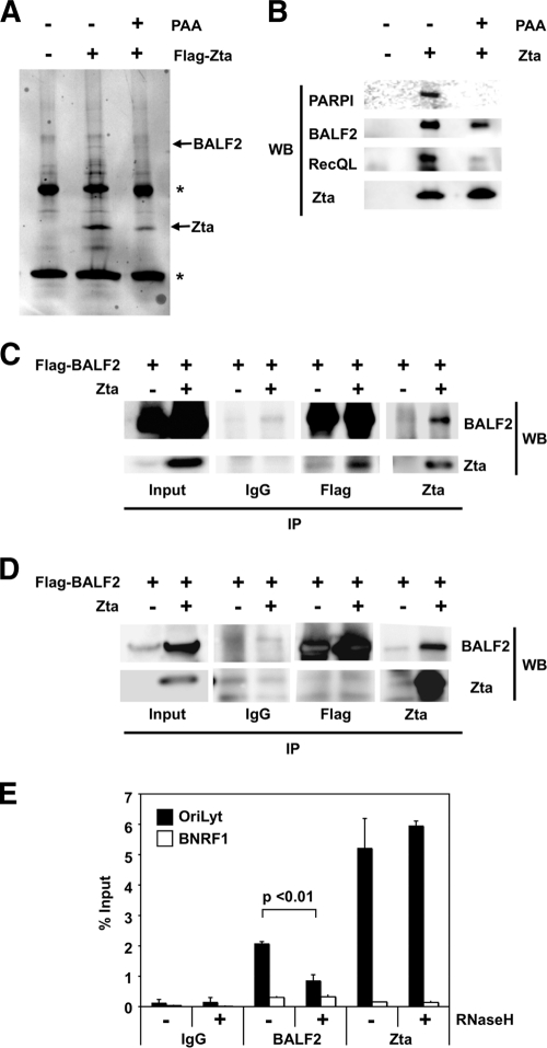 FIG. 8.