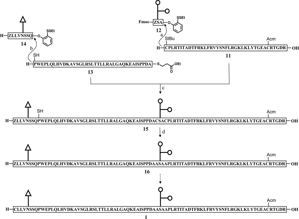 Scheme 3