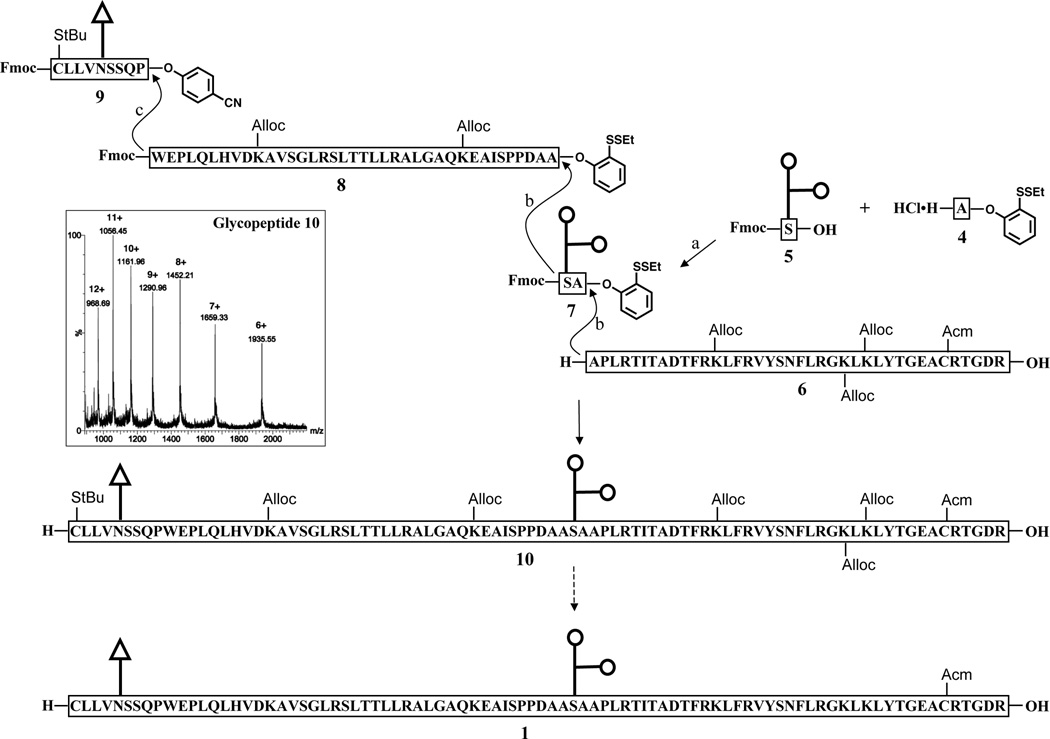 Scheme 2