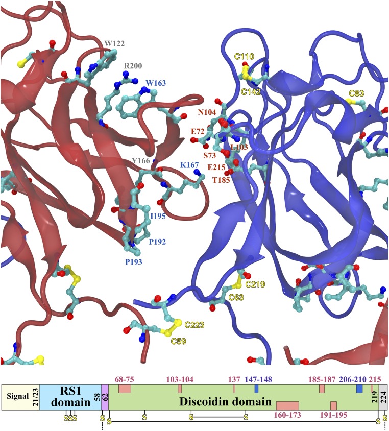 Fig. 3.