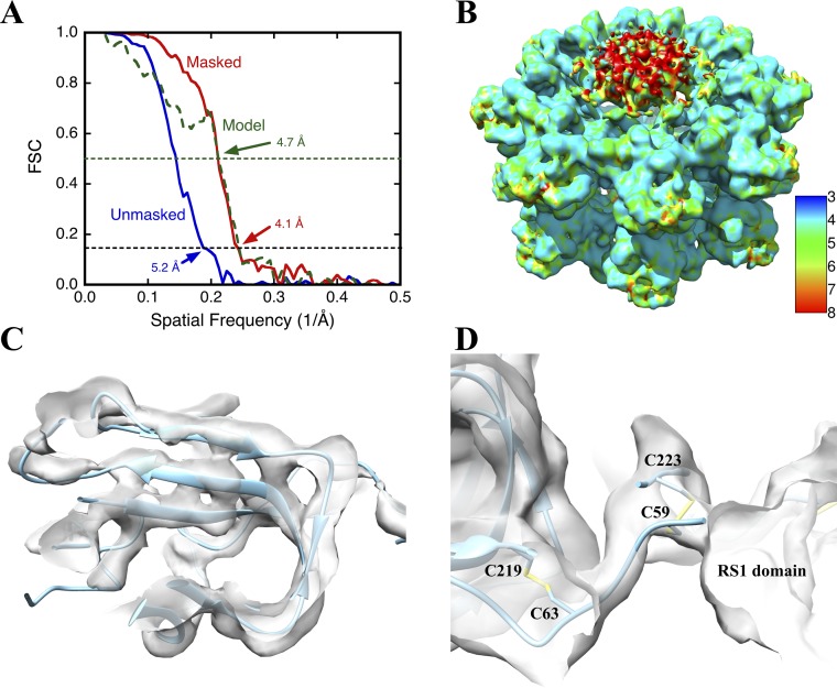 Fig. S4.