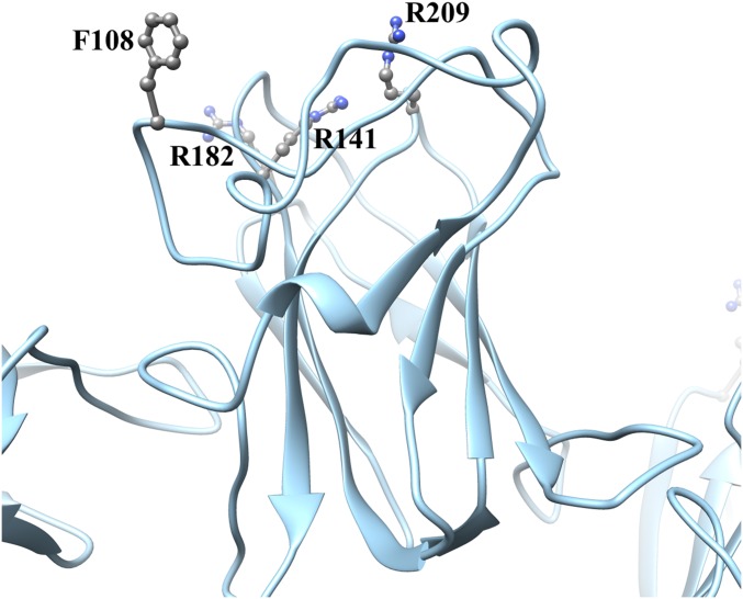 Fig. S5.