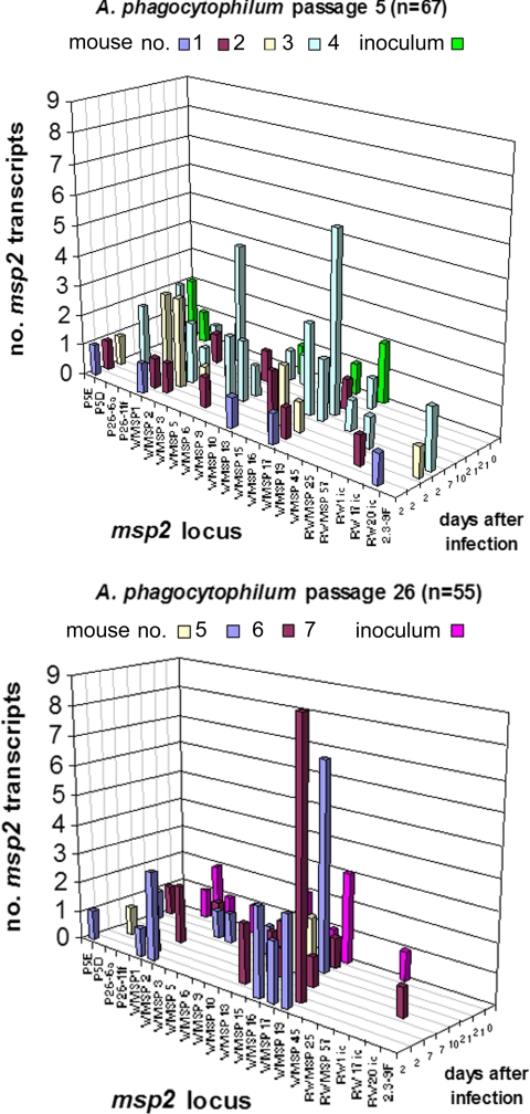 FIG. 6.