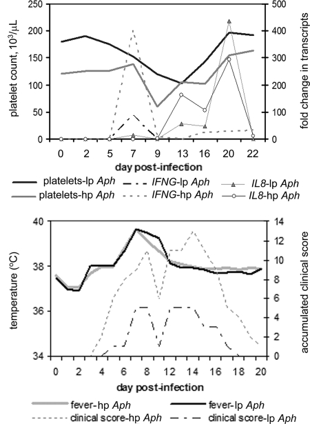 FIG. 2.