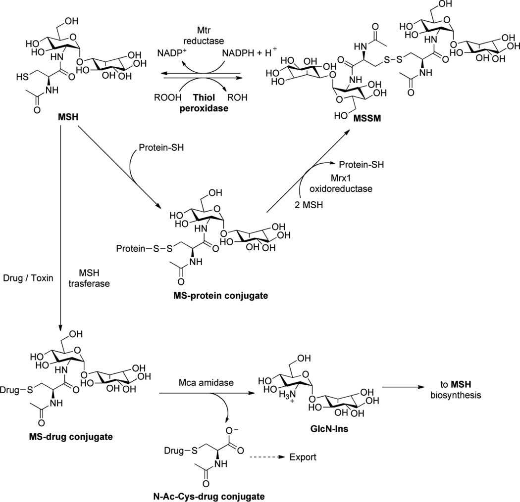 Figure 7