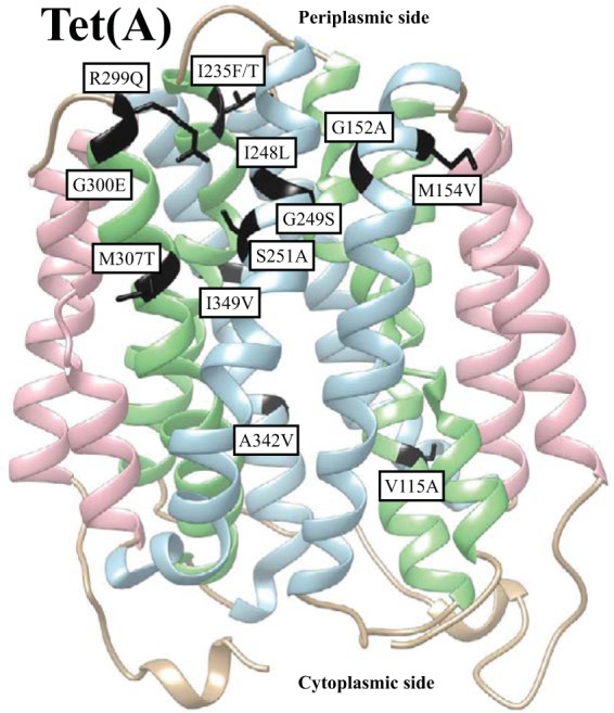 FIG 2