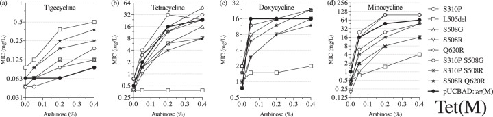 FIG 6