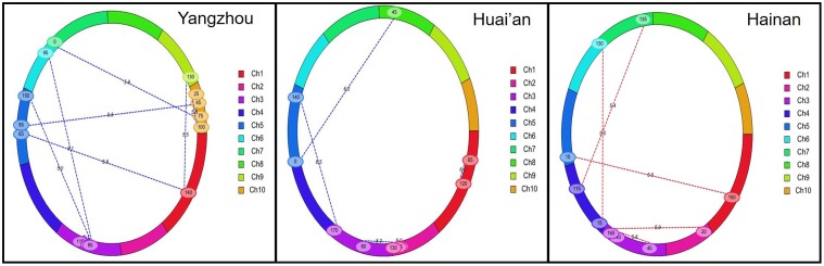 FIGURE 3