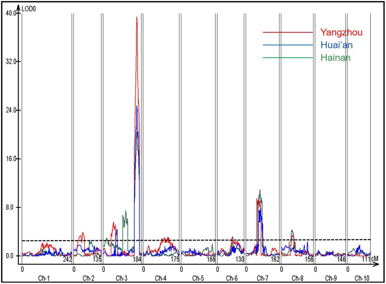 FIGURE 2