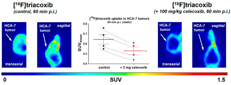Figure 21