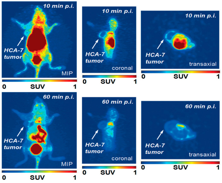 Figure 10