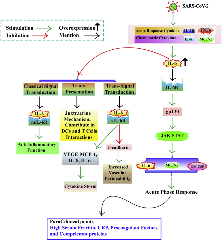 Figure 2