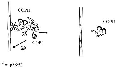 FIG. 12